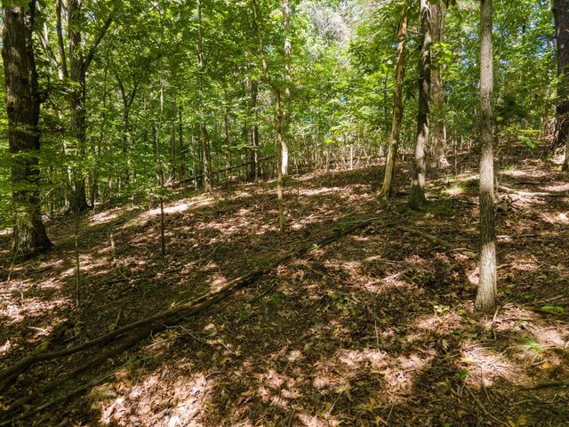 2311 Blue Branch Rd, Lynnville, TN 38472