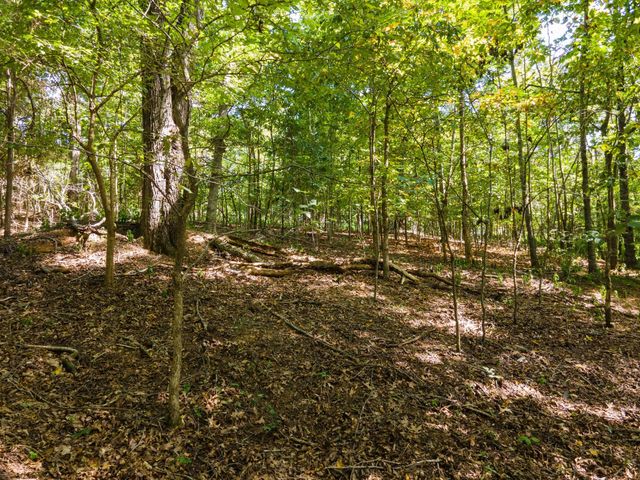 2311 Blue Branch Rd, Lynnville, TN 38472