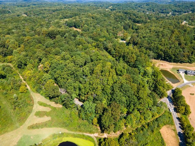 2311 Blue Branch Rd, Lynnville, TN 38472