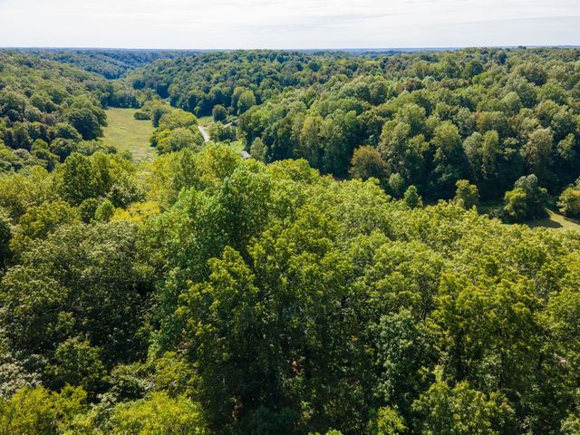 2311 Blue Branch Rd, Lynnville, TN 38472