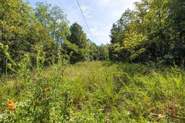 2311 Blue Branch Rd, Lynnville, TN 38472