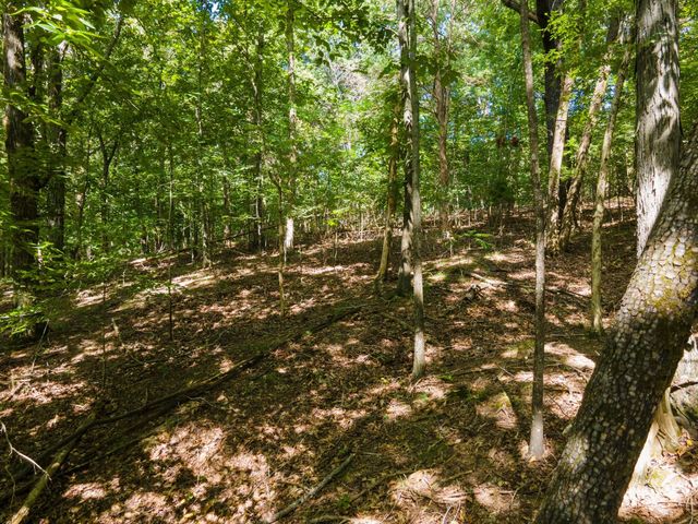 2311 Blue Branch Rd, Lynnville, TN 38472