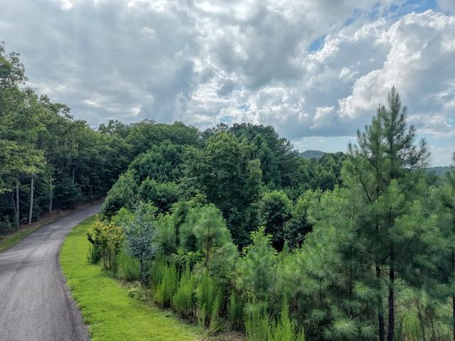 Lot 83 Ridge Peak View, Blairsville, GA 30512
