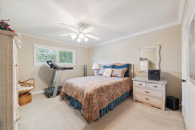 7445 Brompton Street, Houston, TX 77025