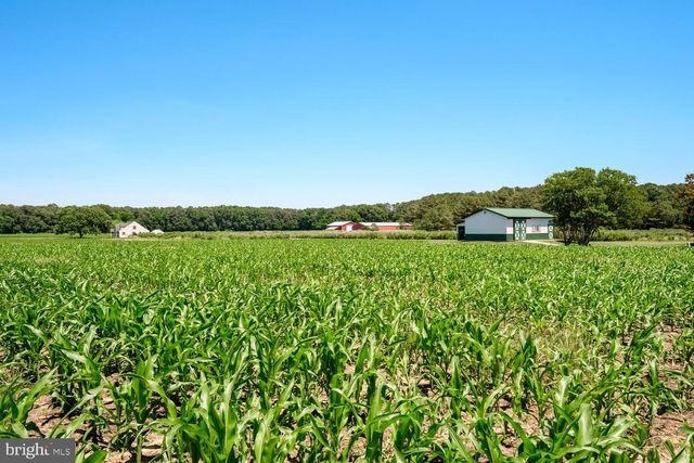 7543 BOZMAN NEAVITT RD, Bozman, MD 21612