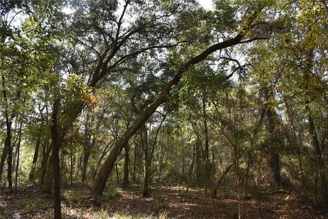 1220 SE US HIGHWAY 301, Hawthorne, FL 32640