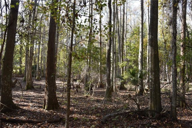 1220 SE US HIGHWAY 301, Hawthorne, FL 32640