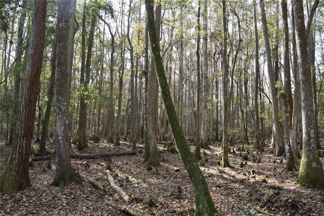 1220 SE US HIGHWAY 301, Hawthorne, FL 32640