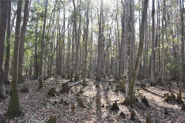 1220 SE US HIGHWAY 301, Hawthorne, FL 32640