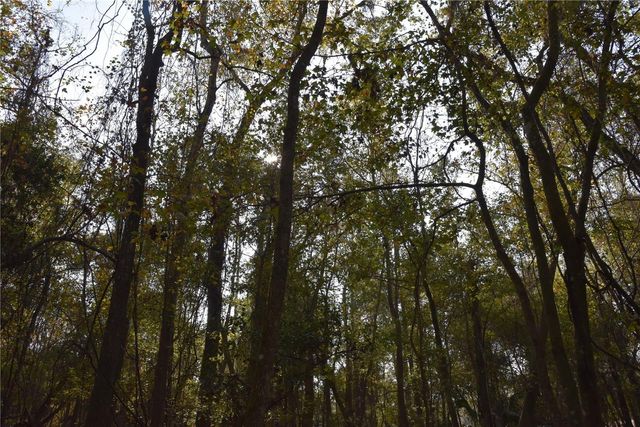 1220 SE US HIGHWAY 301, Hawthorne, FL 32640