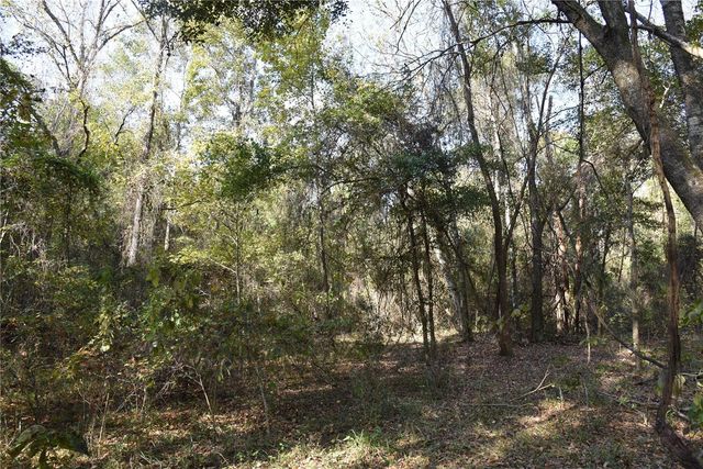 1220 SE US HIGHWAY 301, Hawthorne, FL 32640