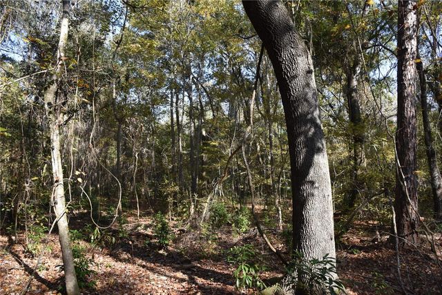 1220 SE US HIGHWAY 301, Hawthorne, FL 32640