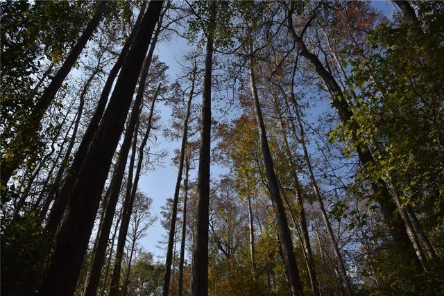 1220 SE US HIGHWAY 301, Hawthorne, FL 32640