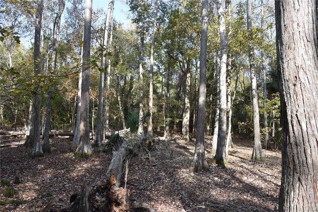 1220 SE US HIGHWAY 301, Hawthorne, FL 32640