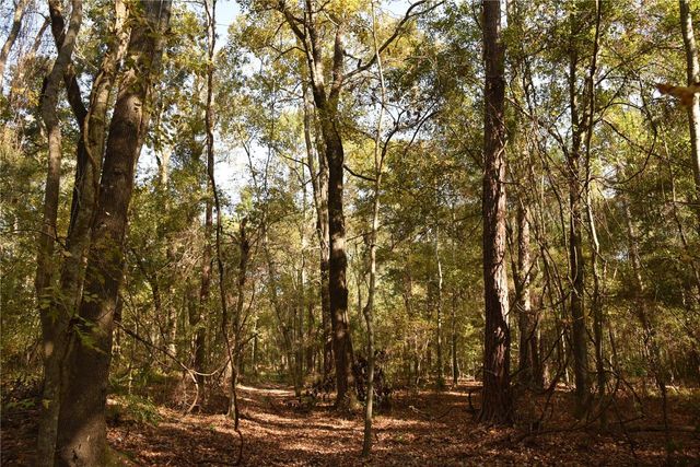 1220 SE US HIGHWAY 301, Hawthorne, FL 32640