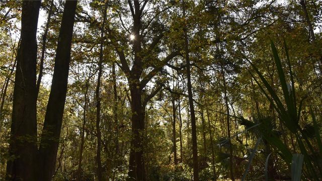 1220 SE US HIGHWAY 301, Hawthorne, FL 32640