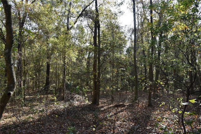 1220 SE US HIGHWAY 301, Hawthorne, FL 32640