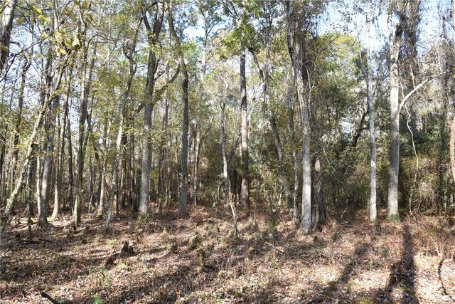 1220 SE US HIGHWAY 301, Hawthorne, FL 32640