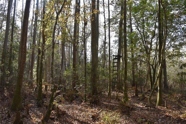 1220 SE US HIGHWAY 301, Hawthorne, FL 32640