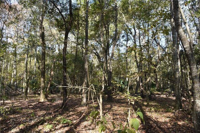 1220 SE US HIGHWAY 301, Hawthorne, FL 32640