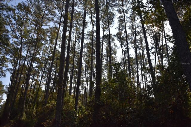 1220 SE US HIGHWAY 301, Hawthorne, FL 32640