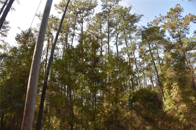 1220 SE US HIGHWAY 301, Hawthorne, FL 32640