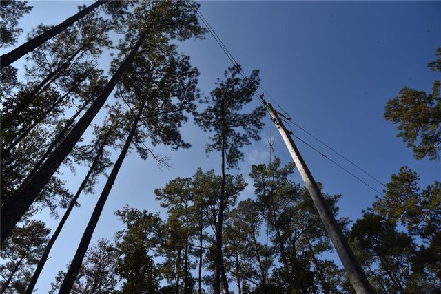 1220 SE US HIGHWAY 301, Hawthorne, FL 32640