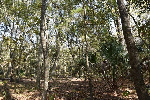 1220 SE US HIGHWAY 301, Hawthorne, FL 32640