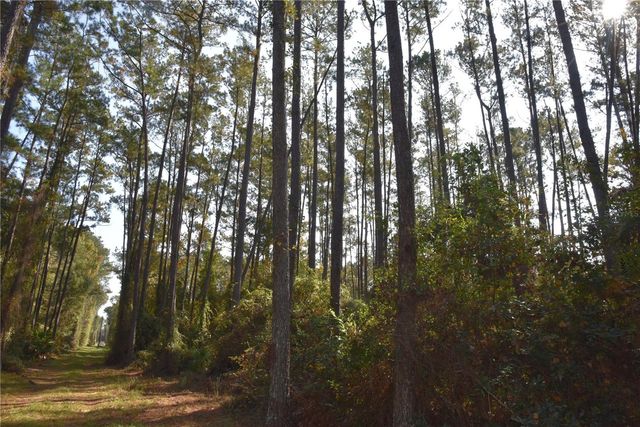 1220 SE US HIGHWAY 301, Hawthorne, FL 32640