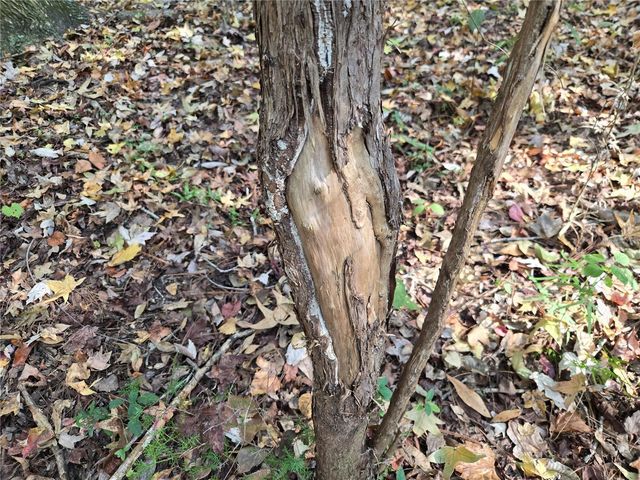 1220 SE US HIGHWAY 301, Hawthorne, FL 32640