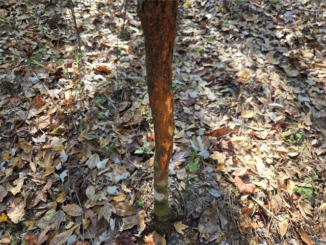 1220 SE US HIGHWAY 301, Hawthorne, FL 32640