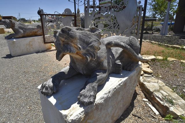 100 S Micah Andrews, Blanco, TX 78606