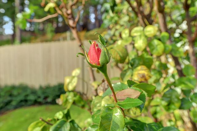 882 Forest Glade Cir, Grass Valley, CA 95945