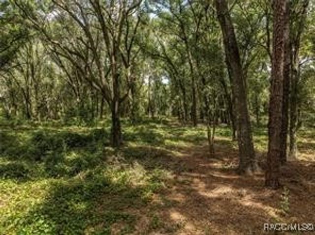 2946 SE 21st Avenue, Sumterville, FL 33585