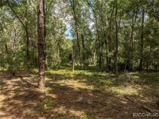 2946 SE 21st Avenue, Sumterville, FL 33585