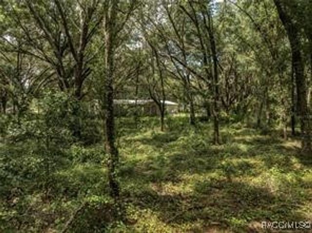 2946 SE 21st Avenue, Sumterville, FL 33585