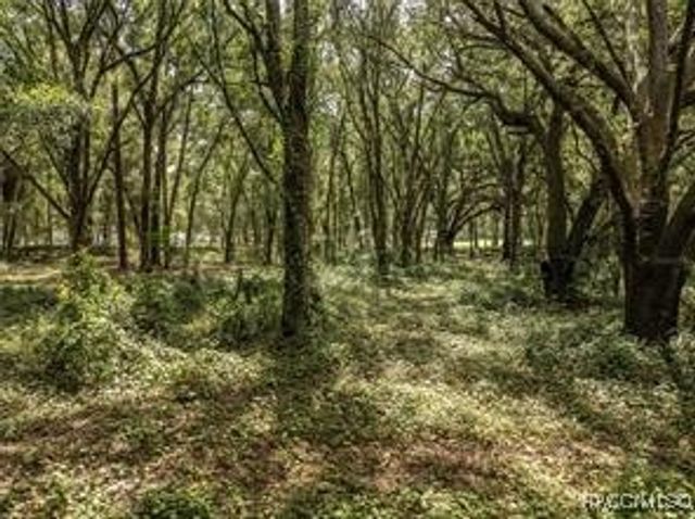 2946 SE 21st Avenue, Sumterville, FL 33585