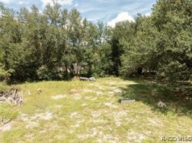 2946 SE 21st Avenue, Sumterville, FL 33585