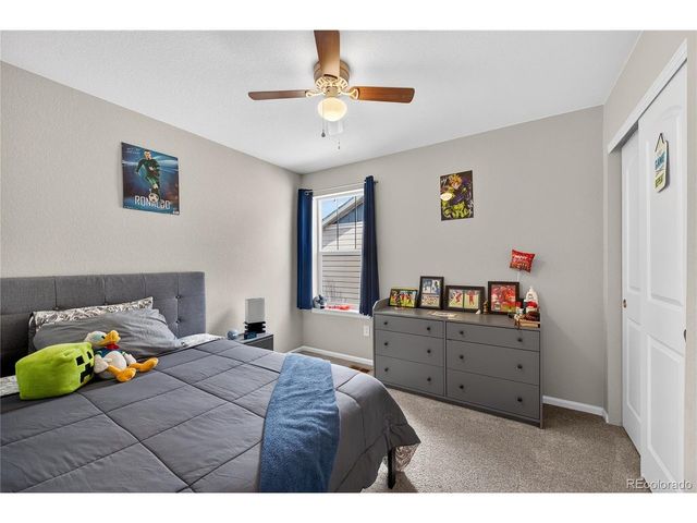 3318 Emily St, Castle Rock, CO 80109