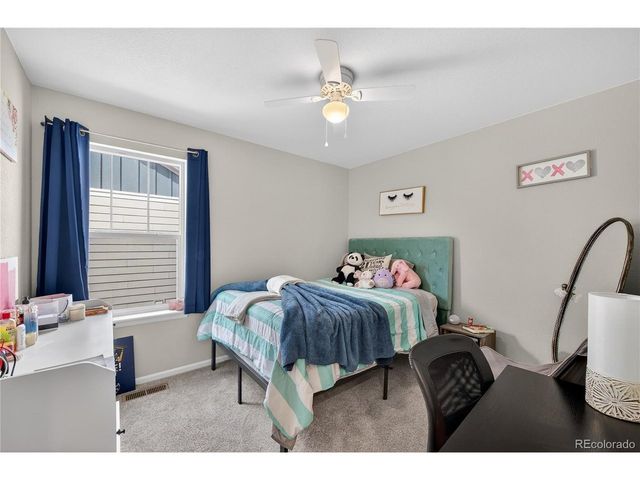 3318 Emily St, Castle Rock, CO 80109