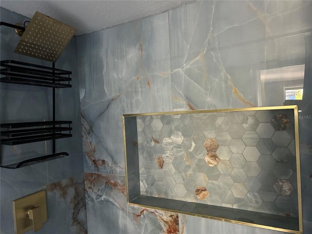 2119 E ELLICOTT, Tampa, FL 33610