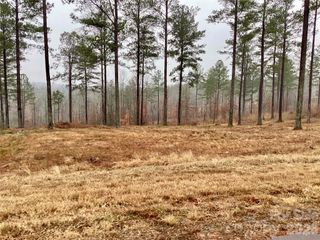 1838 Jumping Run 23, Connelly Springs, NC 28612