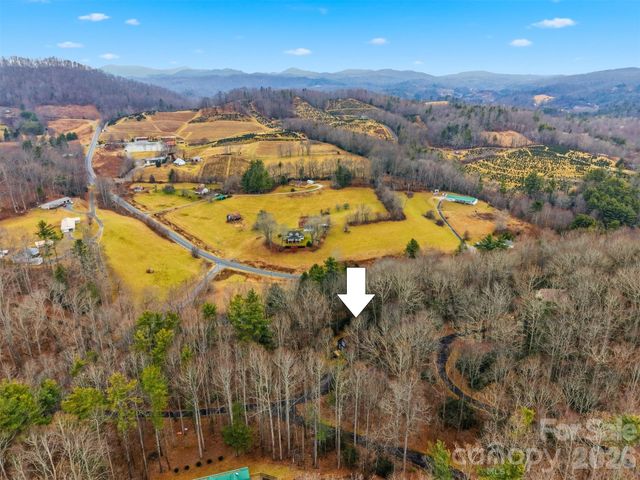 85 Sarahs Spring Road, Newland, NC 28657