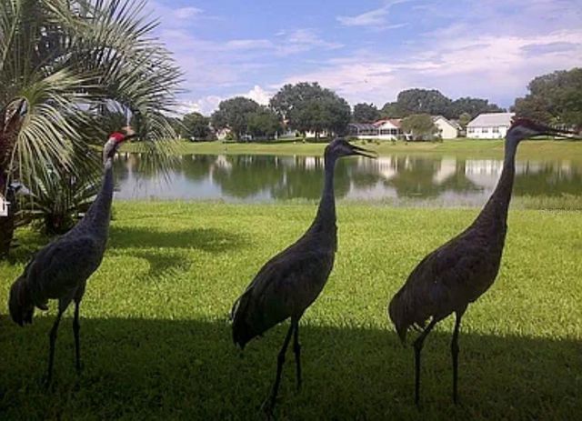 307 DEL MAR DRIVE, Lady Lake, FL 32159