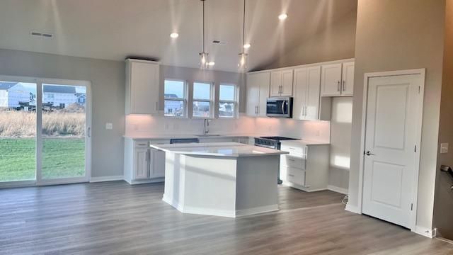 15049 Ashtown Lane, Rosemount, MN 55068