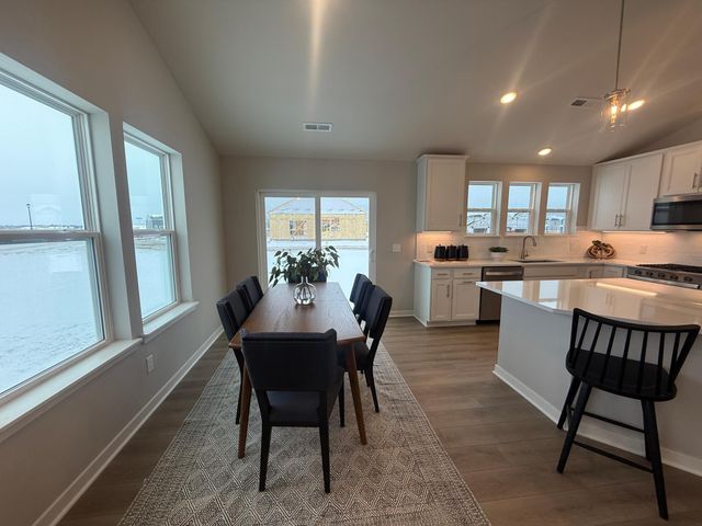 15049 Ashtown Lane, Rosemount, MN 55068