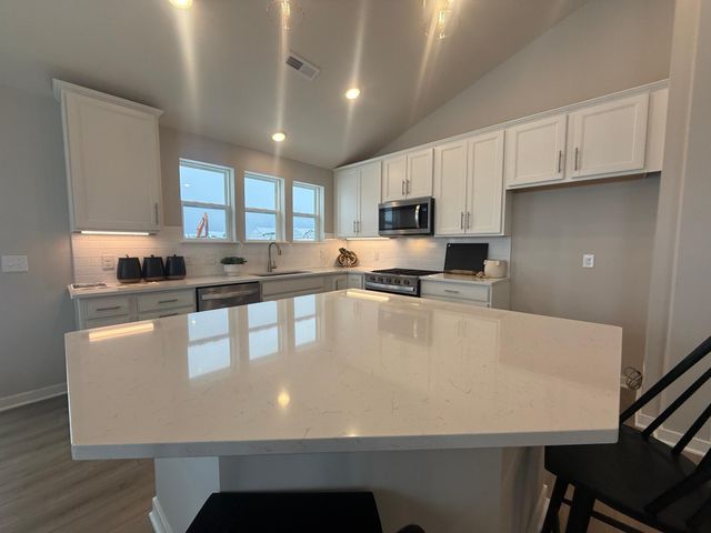 15049 Ashtown Lane, Rosemount, MN 55068