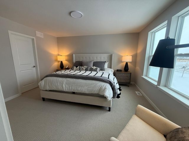 15049 Ashtown Lane, Rosemount, MN 55068