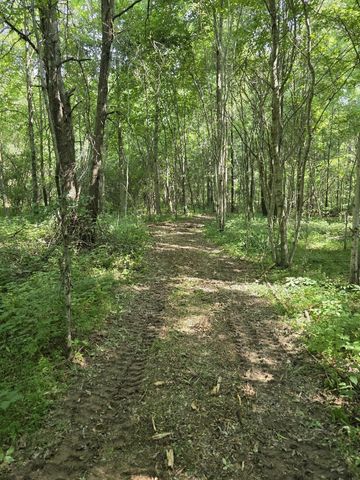 19 Gath Lucky Rd, Mcminnville, TN 37110