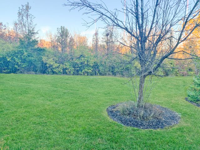 315 Ivy Ridge Drive, 315 315, Newport, KY 41076